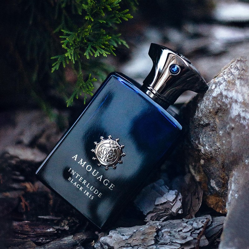 عطر آمواج اینترلود مردانه طبع گرم بویایی شرقی