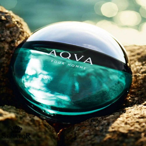 عطر گرمی بولگاری آکوا Bvlgari Aqva رایحه دریایی، خنک و مرکباتی اورجینال